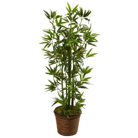 Bamboo Tree in Coiled Rope Planter