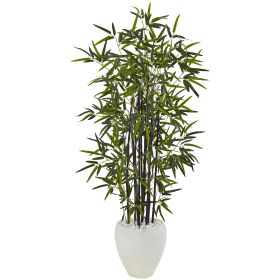 Black Bamboo Tree in White Oval Planter