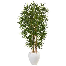 Bamboo Tree in Oval White Planter