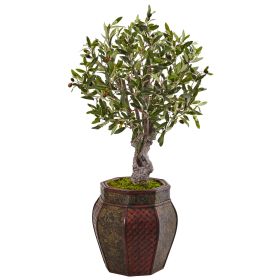 Olive Tree in Weave Panel Planter