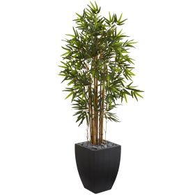 Bamboo Tree in Black Wash Planter