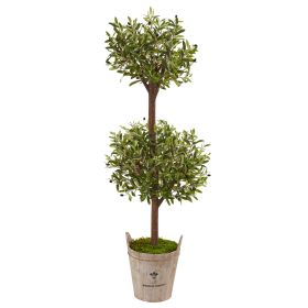 Olive Tree in Farmhouse Planter