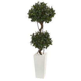 Sweet Bay Double Topiary in White Tower Planter