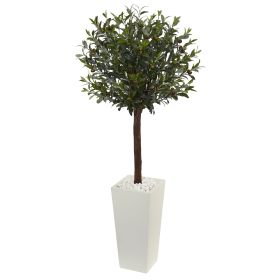 Olive Topiary Tree in White Tower Planter