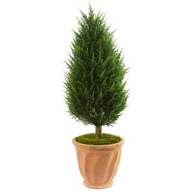Cypress Tree Terracotta Planter UV Rst (Indoor/Outdoor)