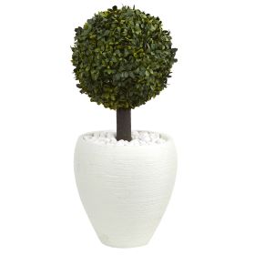 Boxwood Topiary Tree in Oval Planter (Indoor/Outdoor)
