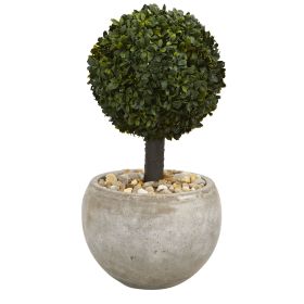 Boxwood Topiary Tree in Sand Color Bowl (Indoor/Outdoor)