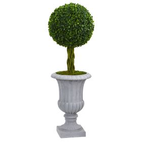 Braided Boxwood Tree in Urn UV Resistant (Indoor/Outdoor)