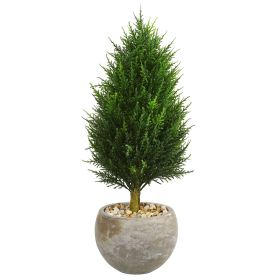 Cypress Cone Tree in Bowl UV Resistant (Indoor/Outdoor)
