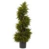 Cedar Spiral Topiary w/Lights