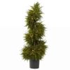 Cedar Spiral Topiary w/Lights