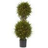 Cedar Double Ball Topiary w/Lights