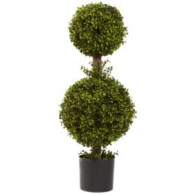 Double Boxwood Topiary