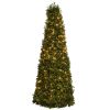 Boxwood Cone w/Lights