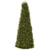 Boxwood Cone w/Lights