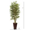 Bamboo Tree w/Decorative Planter
