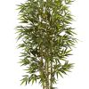 Bamboo Tree w/Decorative Planter