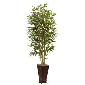 Bamboo Tree w/Decorative Planter