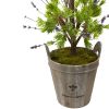Lavender Topiary with Farmhouse Planter