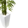 Bamboo Tree with White Planter UV Resist (Indoor/Outdoor)