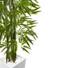 Bamboo Tree with White Planter UV Resist (Indoor/Outdoor)