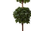 Double Ball Topiary Tree with Farmhouse Planter