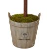 Double Ball Topiary Tree with Farmhouse Planter