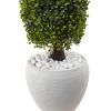 Boxwood Top with White Planter UV Rest (Indoor/Outdoor)