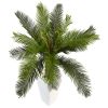 Cycas Tree in White Tower Planter