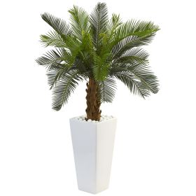 Cycas Tree in White Tower Planter
