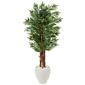 Parlor Palm Tree in White Oval Planter