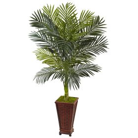 Golden Cane Palm Tree in Decorative Planter