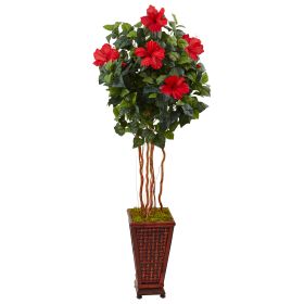 Hibiscus Tree in Decorative Planter