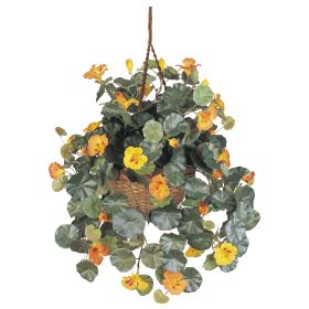 Nasturtium Hanging Basket