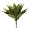 Agave Succulent Plant (Set of 2)