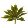 Mini Agave w/19 Lvs (Set of 12)