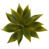 Mini Agave w/19 Lvs (Set of 12)