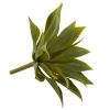 Mini Agave w/19 Lvs (Set of 12)