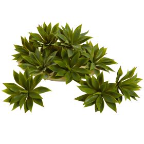 Mini Agave w/19 Lvs (Set of 12)