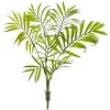 Mini Areca Palm Bush (Set of 8)