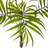 Mini Areca Palm Bush (Set of 6)