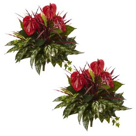 Mixed Anthurium Bush (Set of 2)
