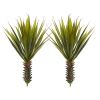 Spiky Agave Plant (Set of 2)