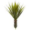 Spiky Agave Plant (Set of 2)