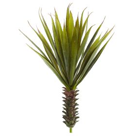 Spiky Agave Plant (Set of 2)