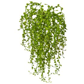 Senecio Succulent (Set of 3)