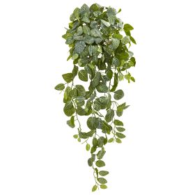 Fittonia Artificial Hanging Bush (Set of 2)(Real Touch)