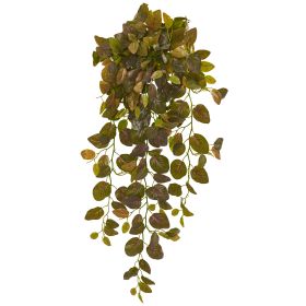 Fittonia Hanging Bush Artificial (Set of 2)(Real Touch)