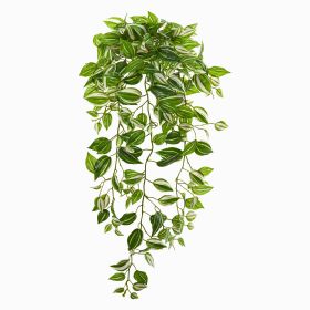 Wandering Jew Hanging Plant (Set of 2)(RealTouch)