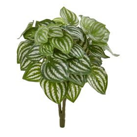 Watermelon Peperomia Plant (Set of 6) (Real Touch)